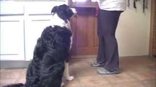 Wait! There is a Snake at the Door!