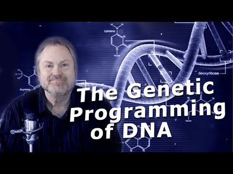 DNA: Genetic Programming