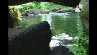 preview picture of video 'Nahuilingo. Agua, tradición e historia (2004)'