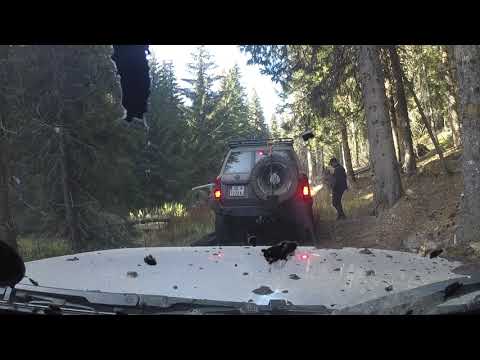 12 Serbian Trophy - soft 3