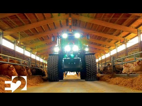 Gigi Dag - DACJ & L’Imbruttito Veneto ft. Liam & Lady Hellen | Video Ufficiale Esclusivo!