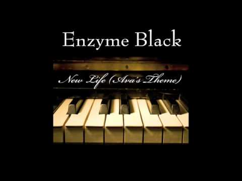 Enzyme Black New Life