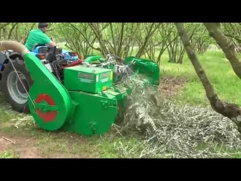 Cippatrice olivi Giampi macchine agricole