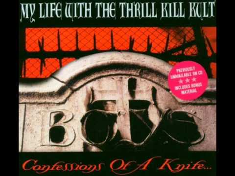 My Life With the Thrill Kill Kult - The Days of Swine and Roses