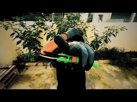 FDAN - PLEBE (PROD. K.OTIC)