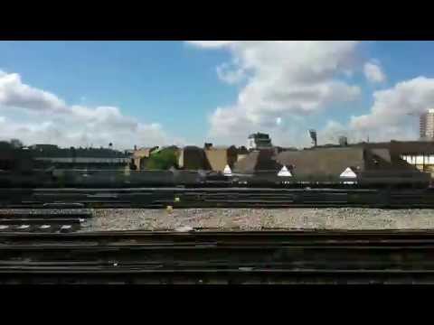 Aleph Null - Black Winged Cherub