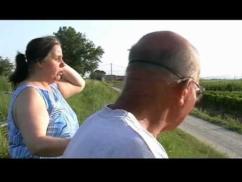 TI UCCIDO IL CANE! - Alessandro Tamburini - SFURIATA