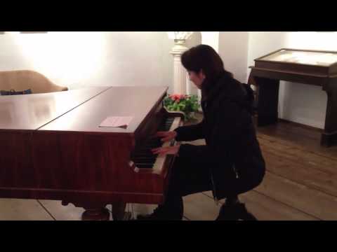 Aliena Wong played Moonlight Sonata on Beethoven's original piano in Vienna