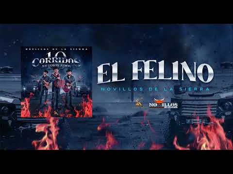 Novillos De La Sierra -  5. El Felino [Audio Oficial]