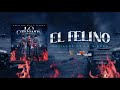 Novillos De La Sierra 5 El Felino Audio Oficial