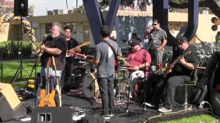 I Don't Know What It Is But it Sure Is Funky Cover- Blues Lyne Band