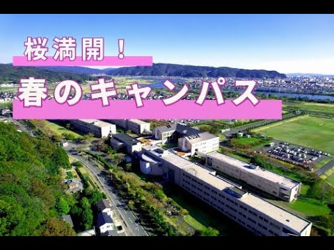 桜満開！春の キャンパス