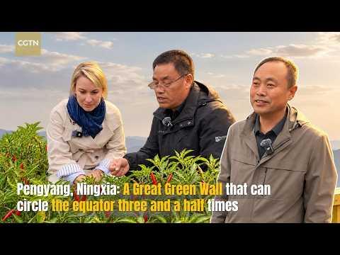 China's Great Green Wall circling the equator 3.5 times