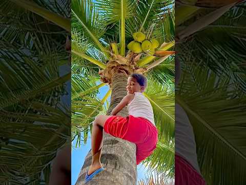 When a kid is selling coconuts 👦🏽🌴🥥🤣 #shorts #coconut #laughter