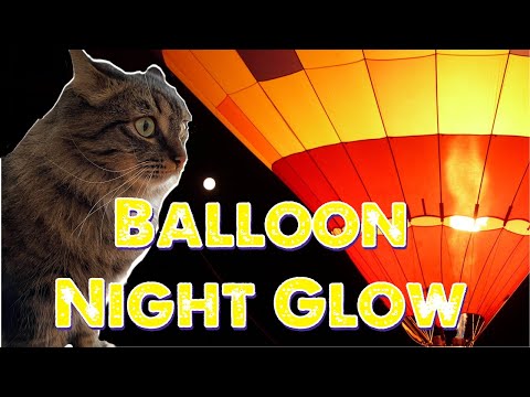 Balloon Night Glow with a Cat Carrier - Ezra sees the hot air balloons in a cat backpack