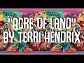 Terri Hendrix - Acre of Land