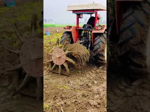 desi jatt #tractor  #tractorshort | small farm tractor discription ➡️