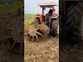 Desi Jatt Tractor Tractorshort Small Farm Tractor Discription ️