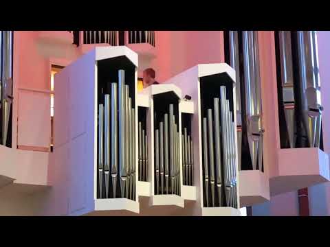 Neue Organistin der Ulrichskirche in Halle