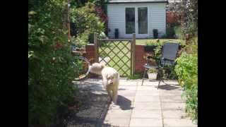 Thea Gilmore How will we know