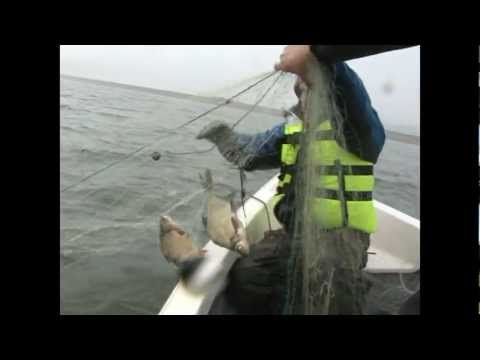 Platica in monofilament la Racaciuni