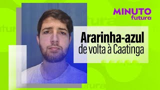 Miniatura do vídeo
