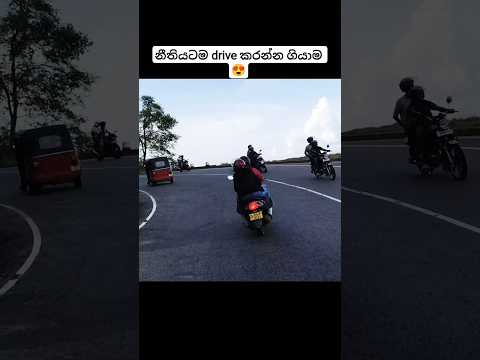 ඉරි කැපෙන නිසා overtake කරන් නැතුව යන මම 🫣😍 #viral #automobile#reels #shortsfeed #driving #bikeride