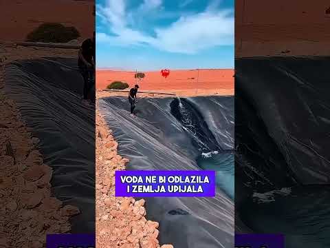 Napravili su Bazen u Sred Pustinje i Desilo se OVO! 😱