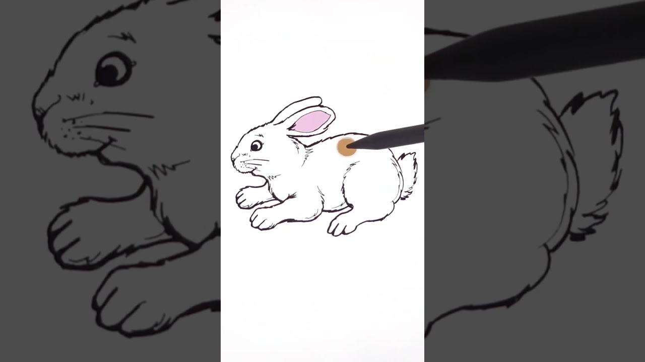I Tried ✨ Rabbit Coloring ✨ How to Draw a Rabbit