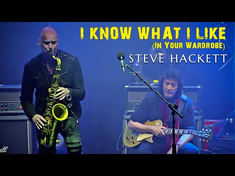 Steve Hackett - I Know What I Like (In Your Wardrobe)