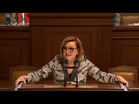 Schillerová ve sněmovně: zákon, který musíme přijmout, protože jste ho čtyři roky nezvládli