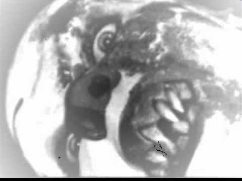 ALGO SAIKO DANTE FT RONKO RUIDO HxC