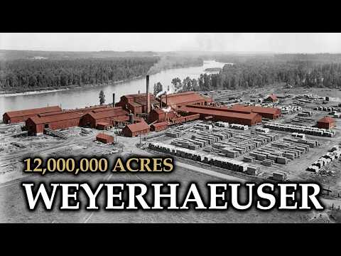 The Dark Story of 12 Million Acres Built on Fire: Weyerhaeuser