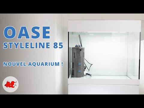 Watch Video on YouTube