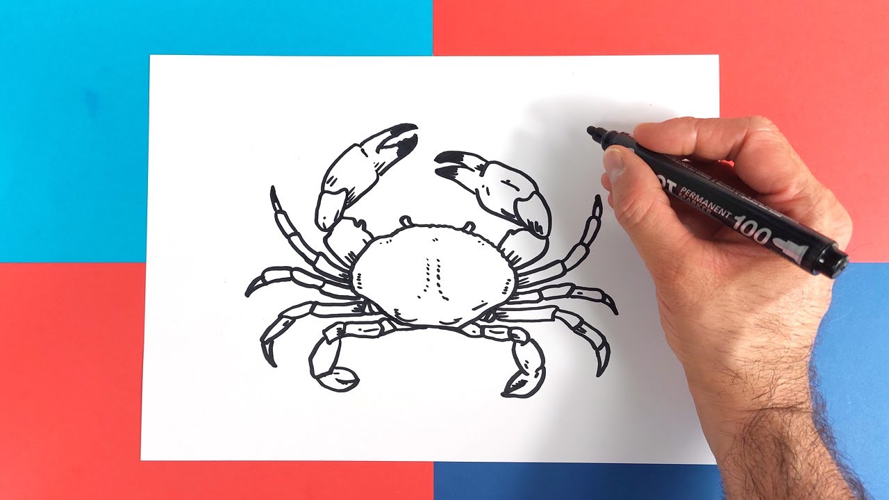 Apprenez à dessiner un crabe en 7 étapes