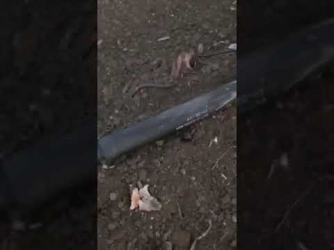 Ադրբեջանական ԱԹՍ-ն ընկել է Վրաստանի տարածքում