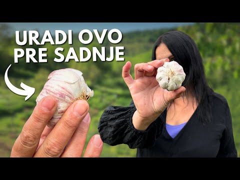 9 Biggest MISTAKES When Planting GARLIC