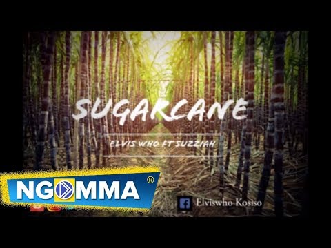 Elvis who ft Suzziah - Sugarcane (Official audio)