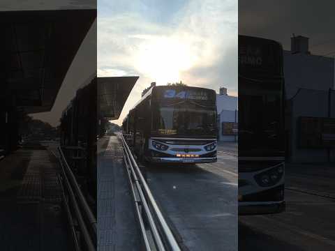 Linea 34 interno 💎29💎!! Bondi Mercedes Benz Ugarte Europeo V OH 1721 Lsb (Enero 2026)