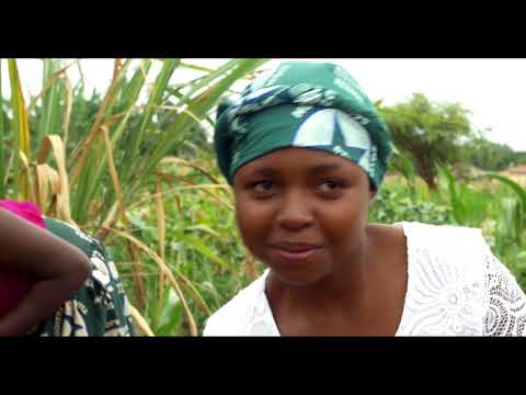 Obert Chari & The ZCC Hakireni Stars | Gombo (Official Video)