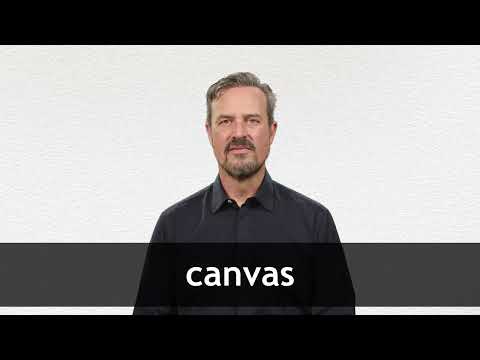 CANVAS definition in American English
