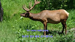 It Is No Secret What God Can Do - Anne Murray  || with lyrics (영어가사/한글번역)