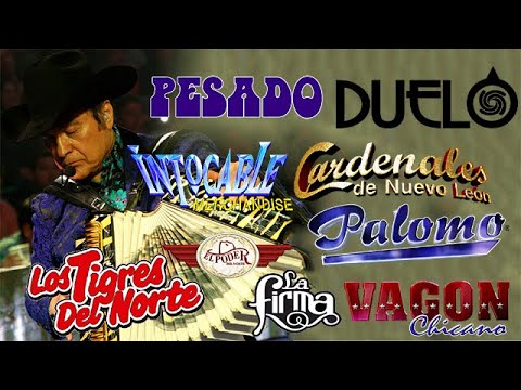 LOS TIGRES DEL NORTE, INTOCABLE, PESADO , LOS TUCANES DE TIJUANA , CARDENALES Y CARDENALES - ÉXITOS