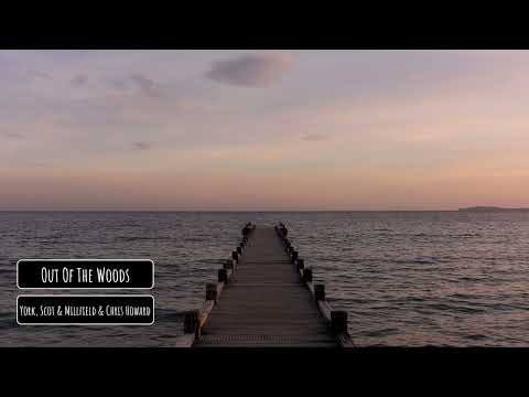 York, Scot & Millfield & Chris Howard - Out Of The Woods