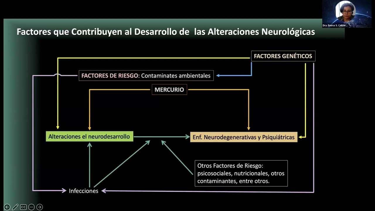 NEUROTOXICOLOGÍA E INMUNOLOGÍA DEL MERCURIO