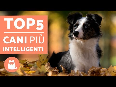 Mal di collo non può girare che curare Artrosi, artrite della caviglia