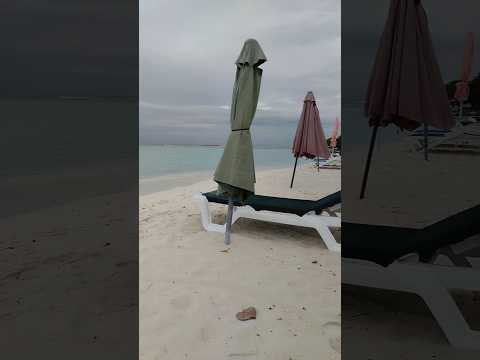 Beach🏝️🤗🐚🌊