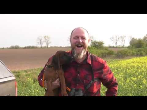 Darz Bór odc 336 - Szkody łowieckie i AFERA!