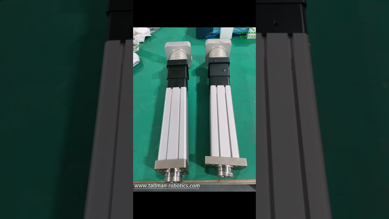 China Biggest Manufacturer for Electric Cylinders