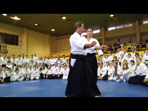 Aikido Christian Tissier Seminar Kiev 30.11-01.12.2019 part 5